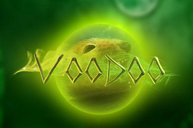 Слот Voodoo Водка Казино